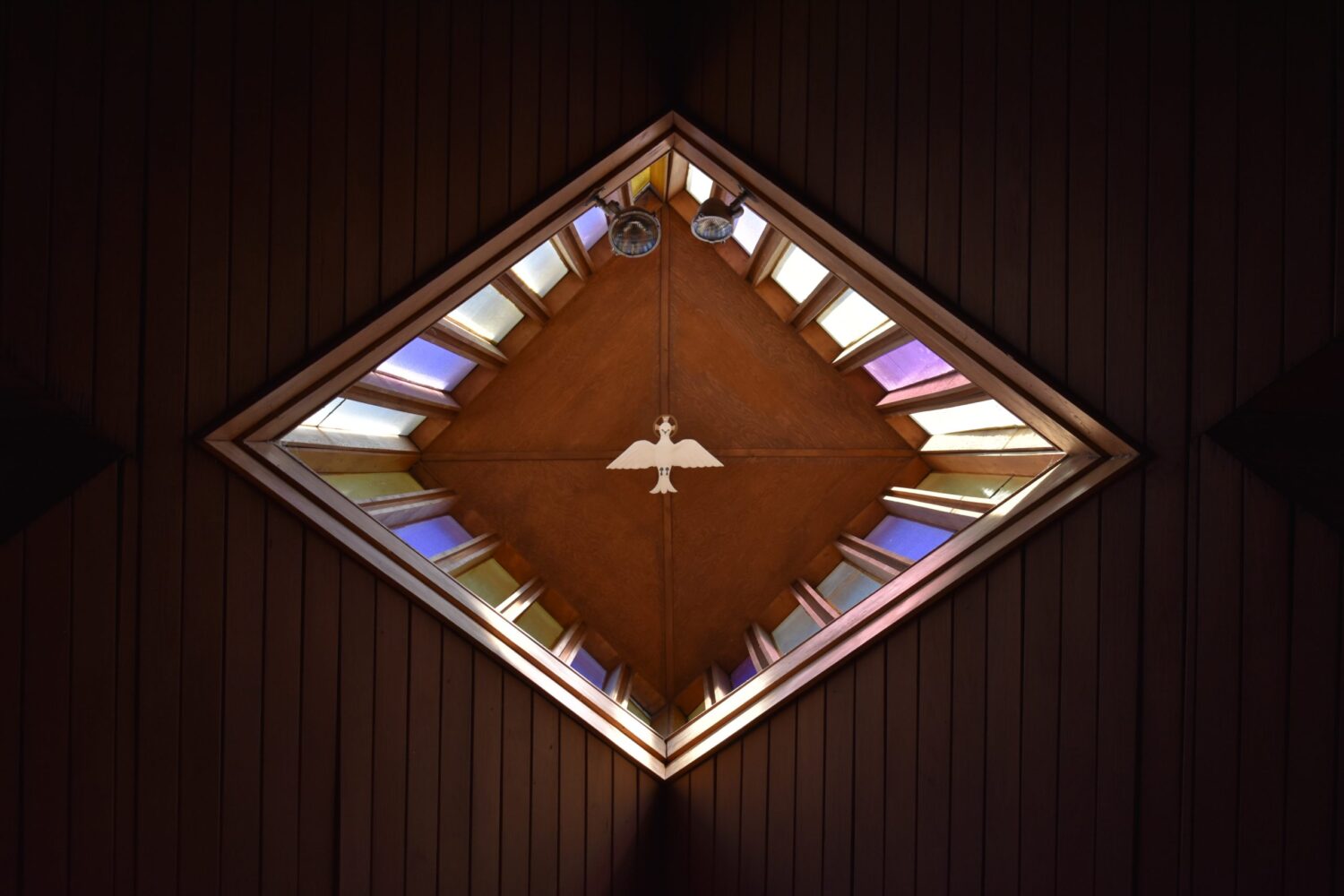 Stained glass image of a dove.