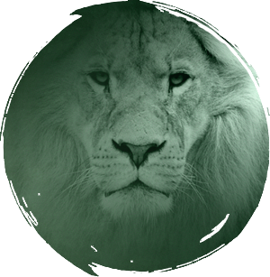 Lion Graphic